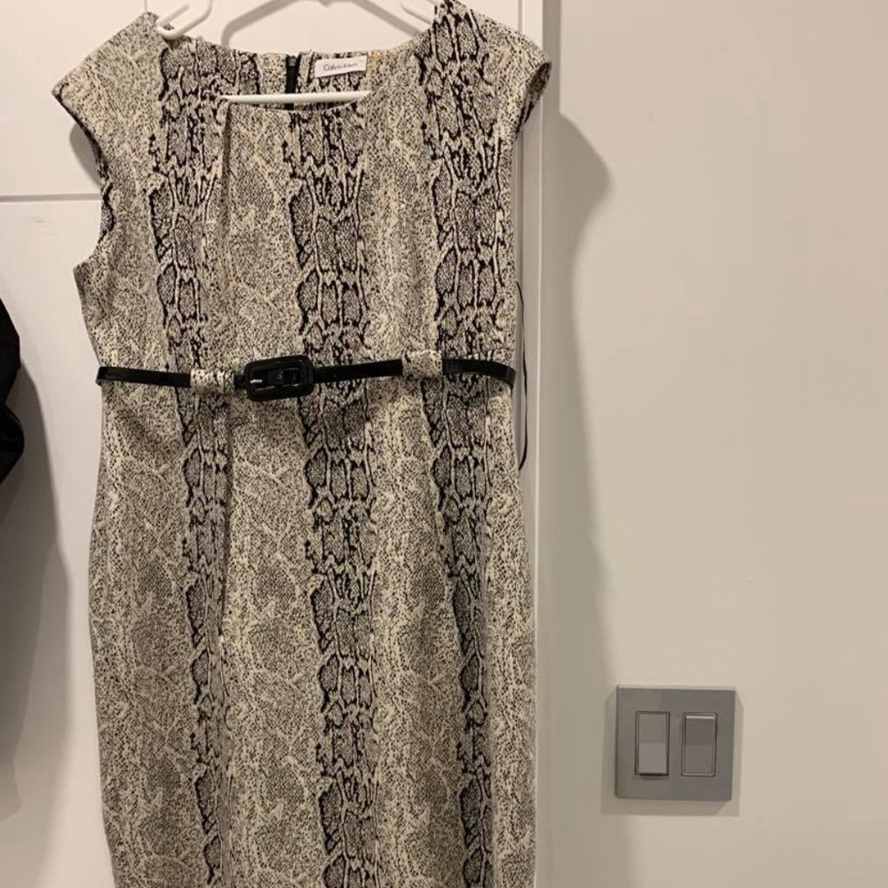 Snake Print Dress